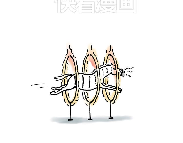 微“波”炉6