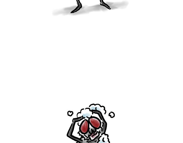 拖马师5