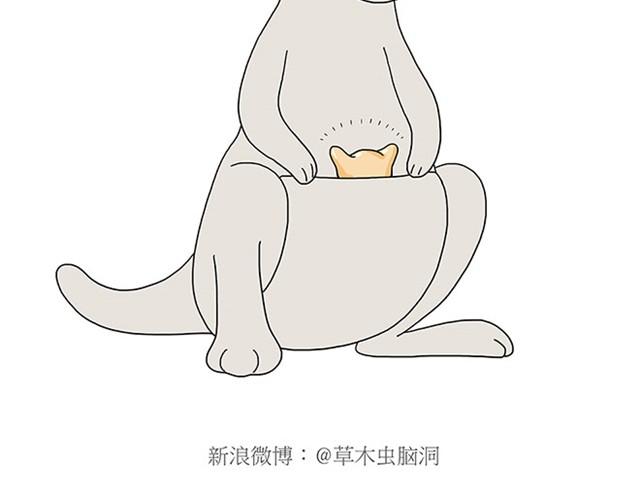 师傅保健9