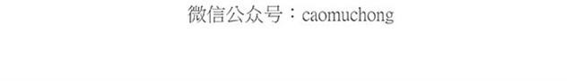 卖糕的师傅36