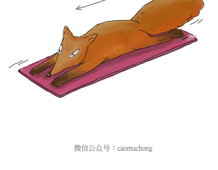 师傅获奖24
