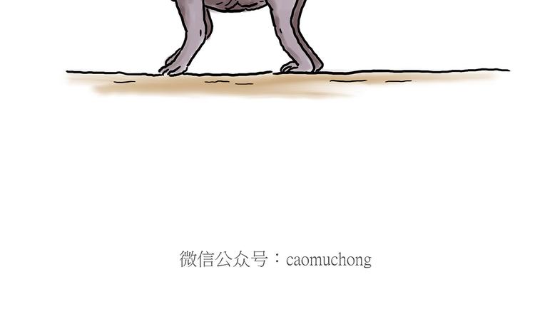 猴的新年21