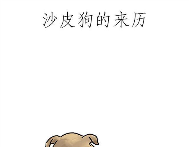 帮师傅挡羞24