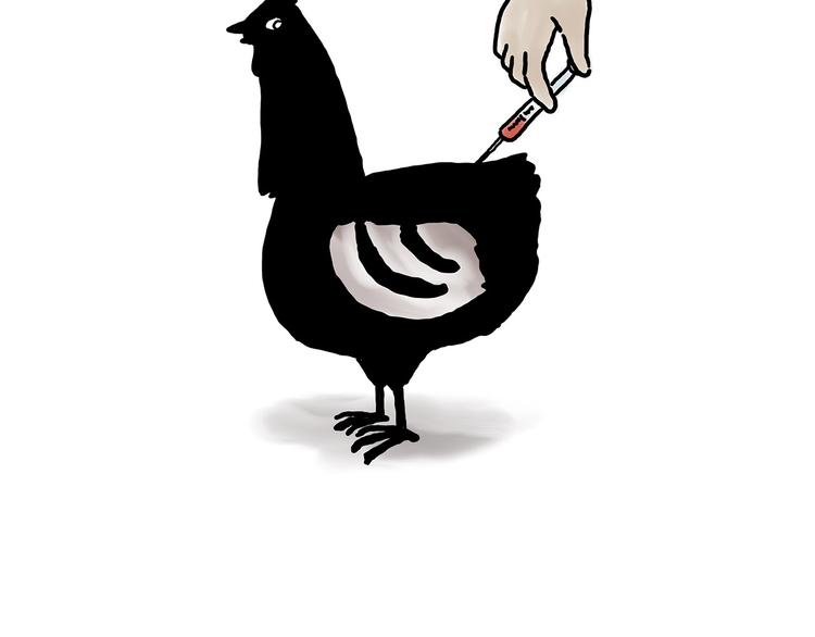 斗舞9