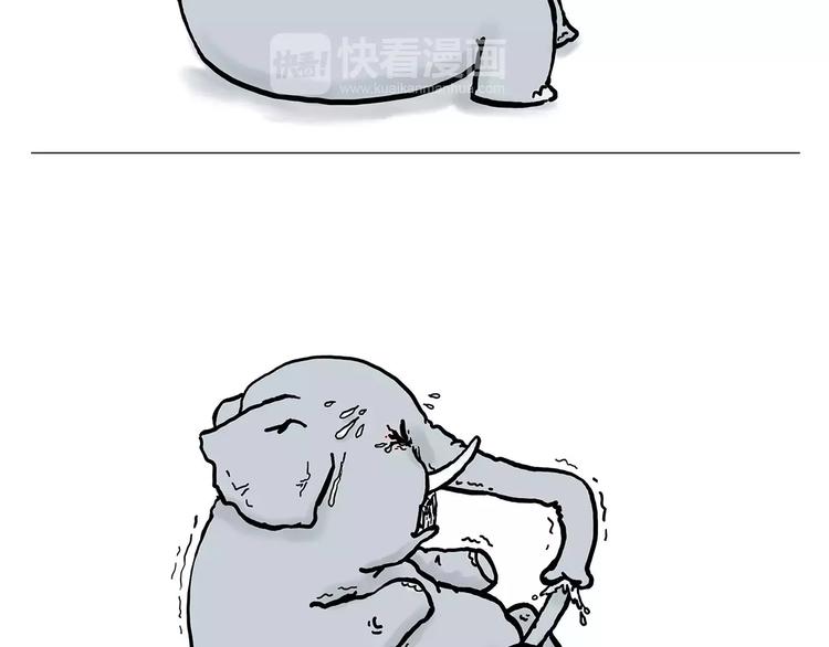 鸵鸟的秘密26