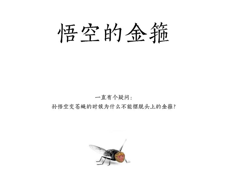 旋转木马7
