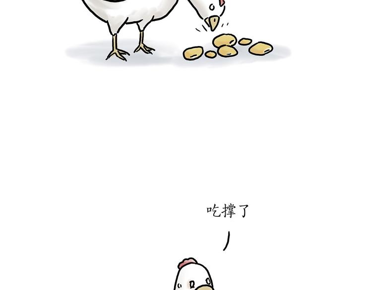 小鸡炖蘑菇30
