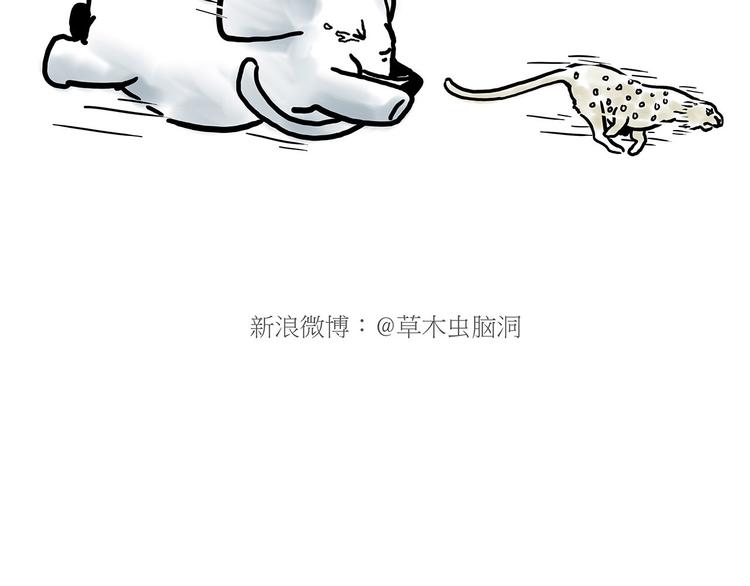 舞狮迎新年6