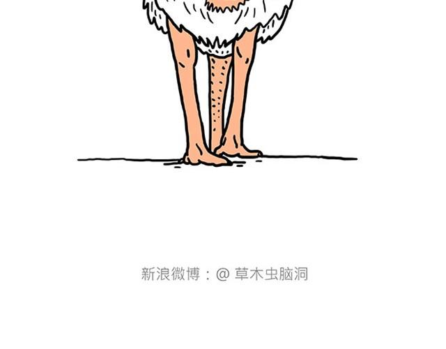 师傅是果粉28
