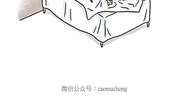 健身球操33