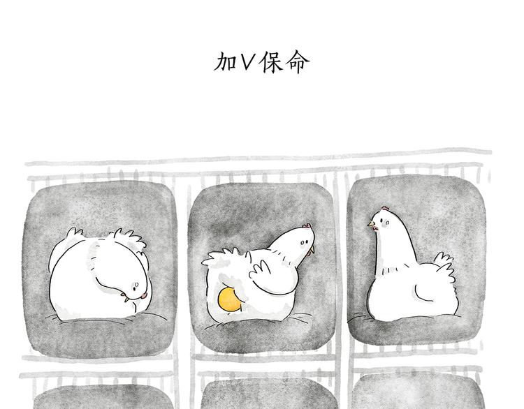 第202话 生蛋快乐24