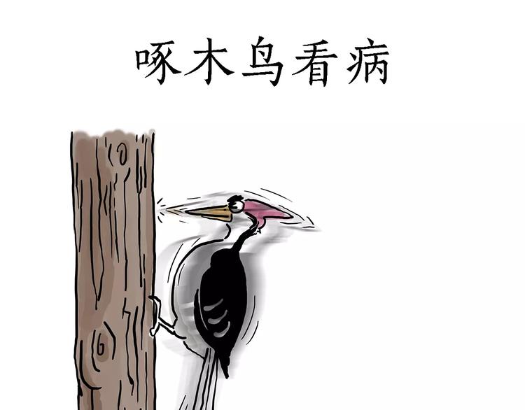 啄木鸟看病2