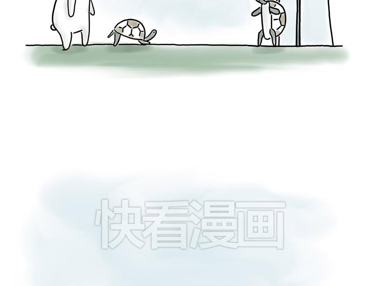 豆腐乳13