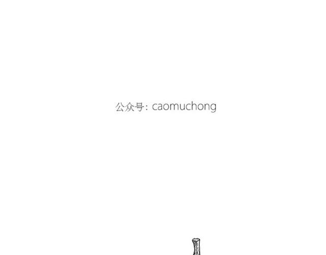 师傅洗澡31