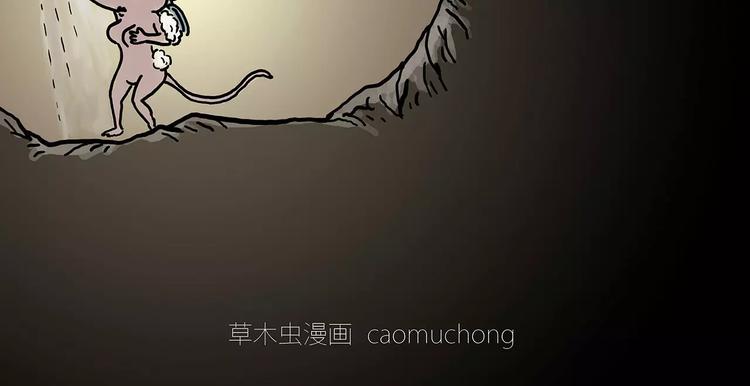 鸵鸟的秘密17