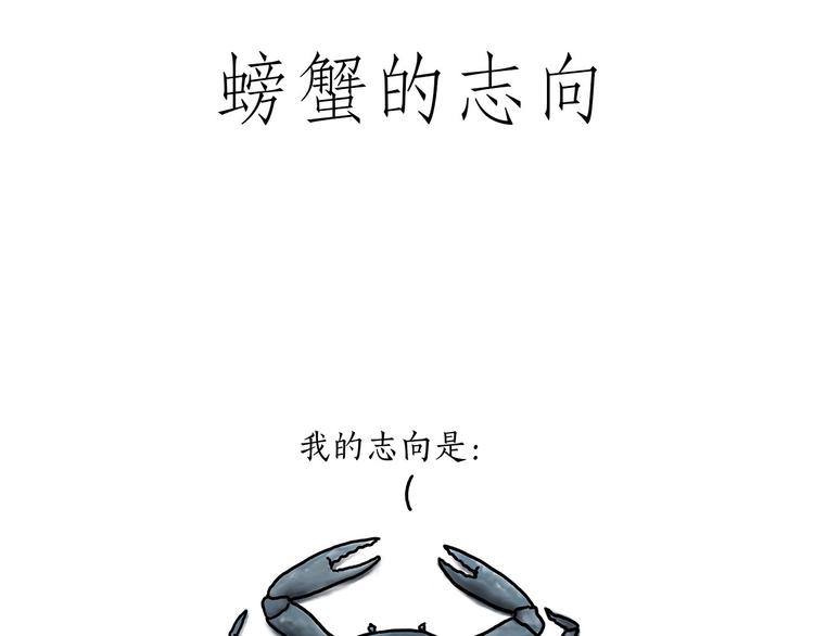 巧手小马24
