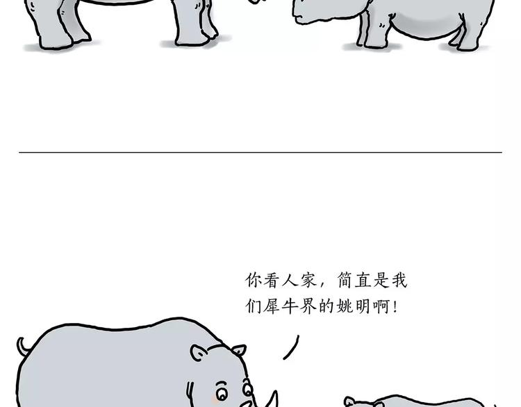 鸵鸟的秘密19