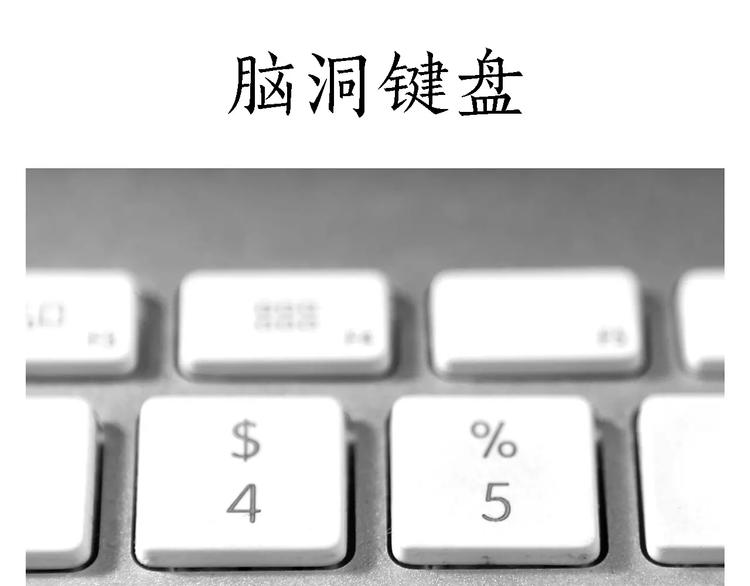 鸵鸟的秘密22