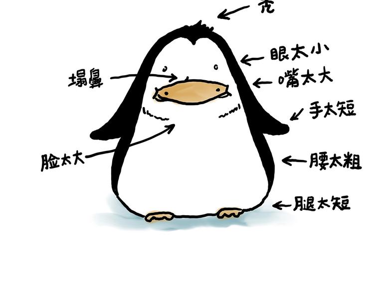 水上芭蕾29