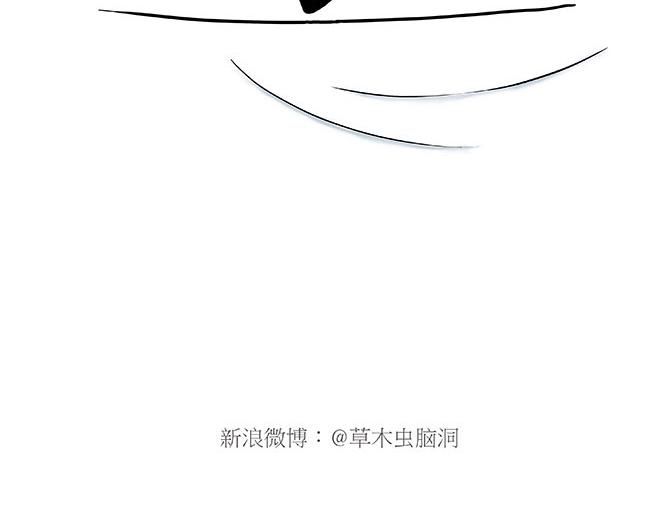 鸡打台球9