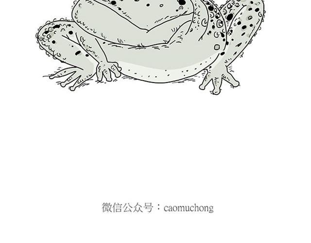 师傅保健29
