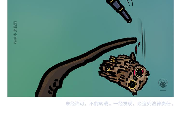 第305话 蚊子男朋友23