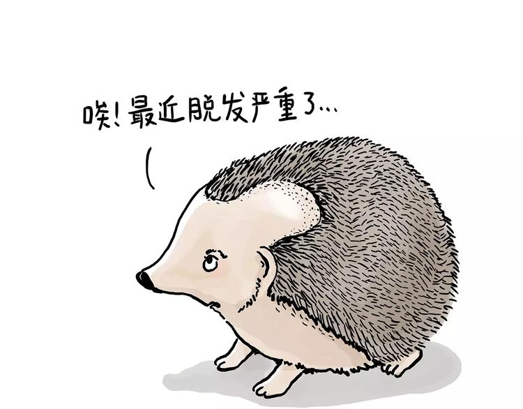 施工警示牌15