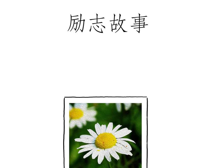 巧手小马20