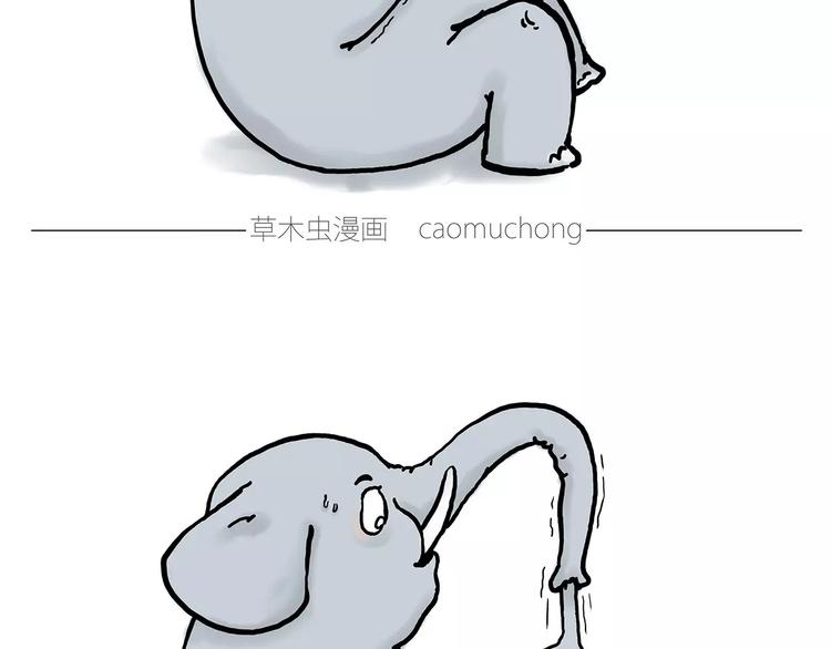 鸵鸟的秘密27