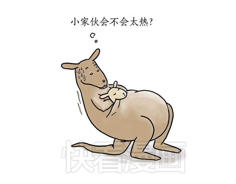 豆腐乳30