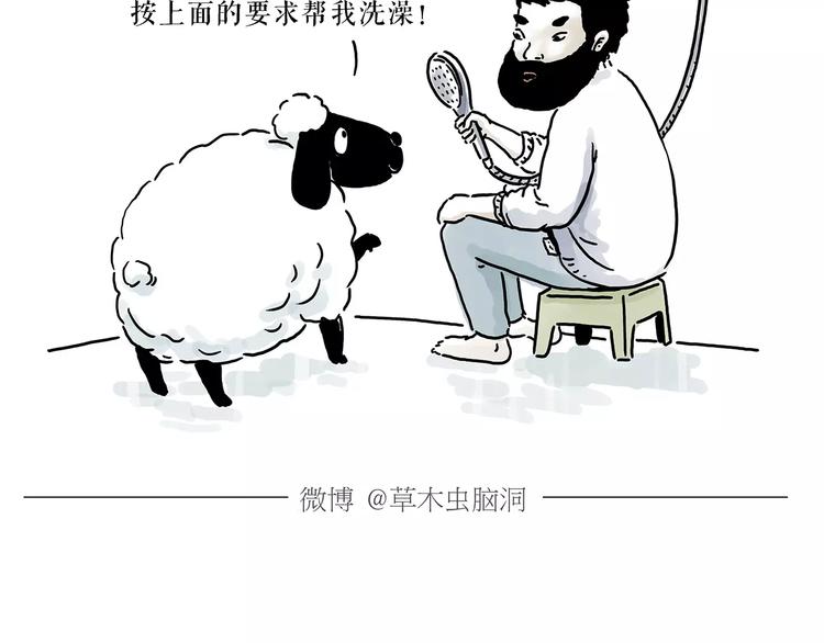 第157话 洗羊说明书22