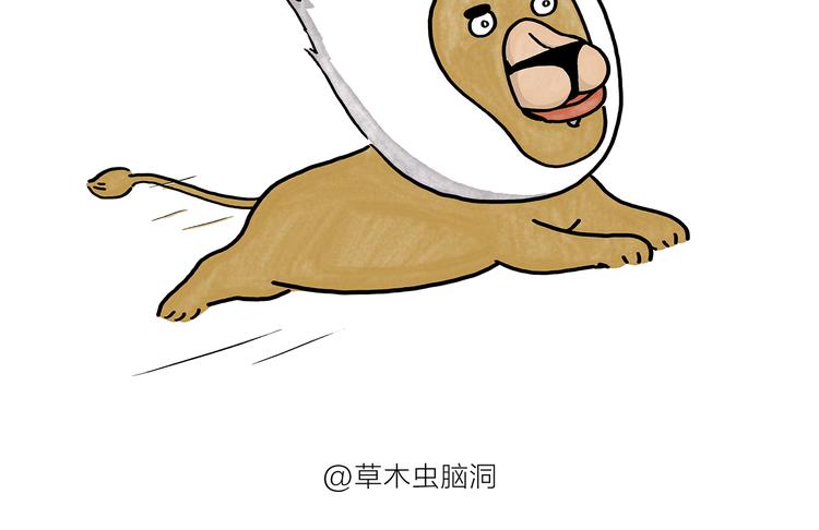 第186话 虫子很慌23