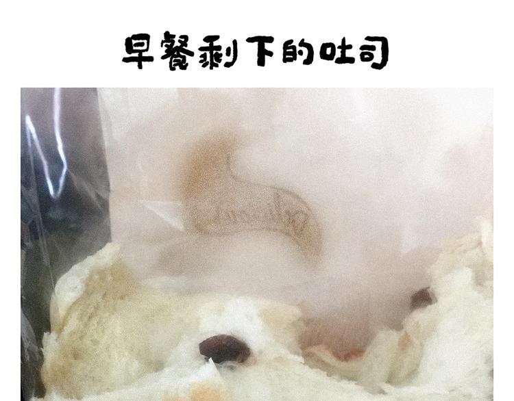 第248话 剑龙接孩子21