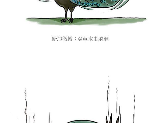师傅坐热气球33
