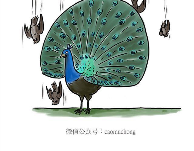 师傅坐热气球34