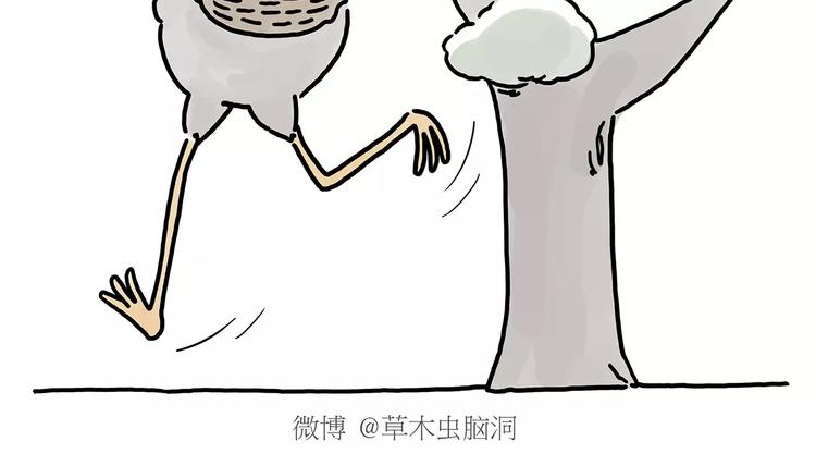 第150话 佛系圣诞17