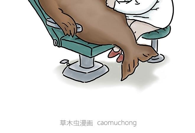 师徒星冰乐29