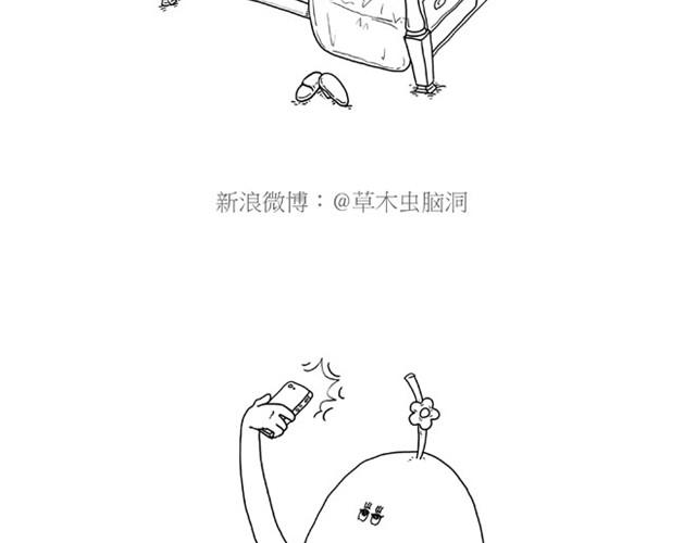 师傅是果粉5