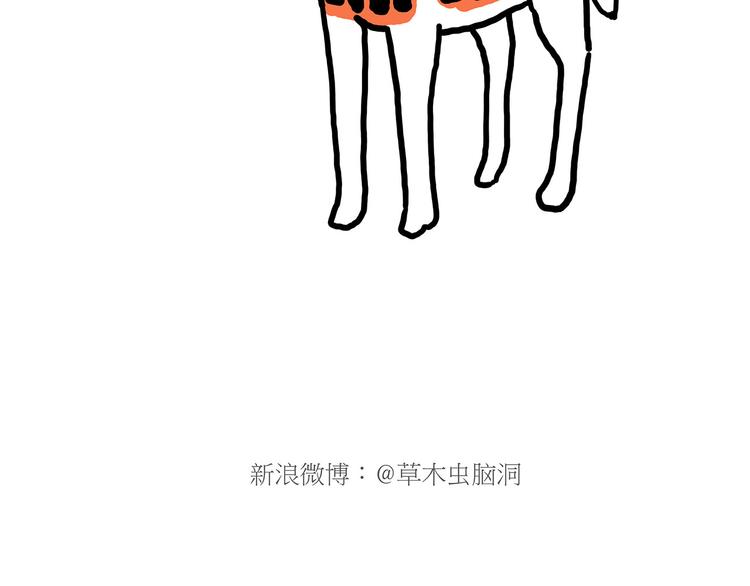 舞狮迎新年22