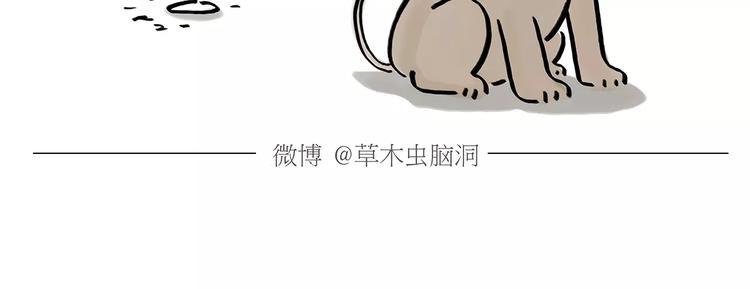 第169话 发型5