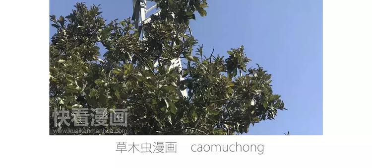 企鹅搬便画12