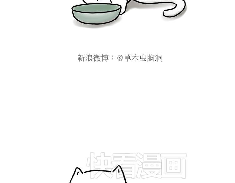 豆腐乳5