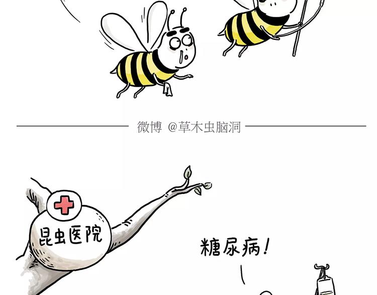 第152话 苹果鸟？？？21
