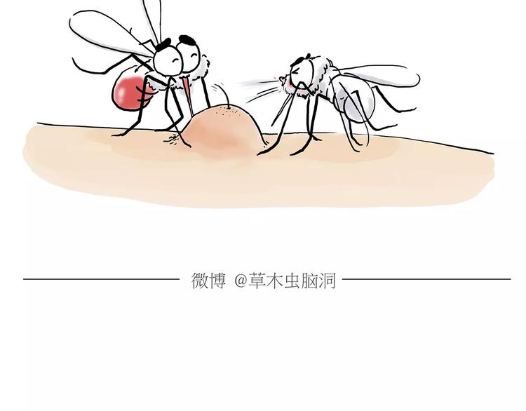 第158话 蚊子的生日蛋糕8