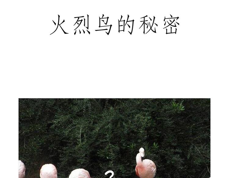 斗舞15