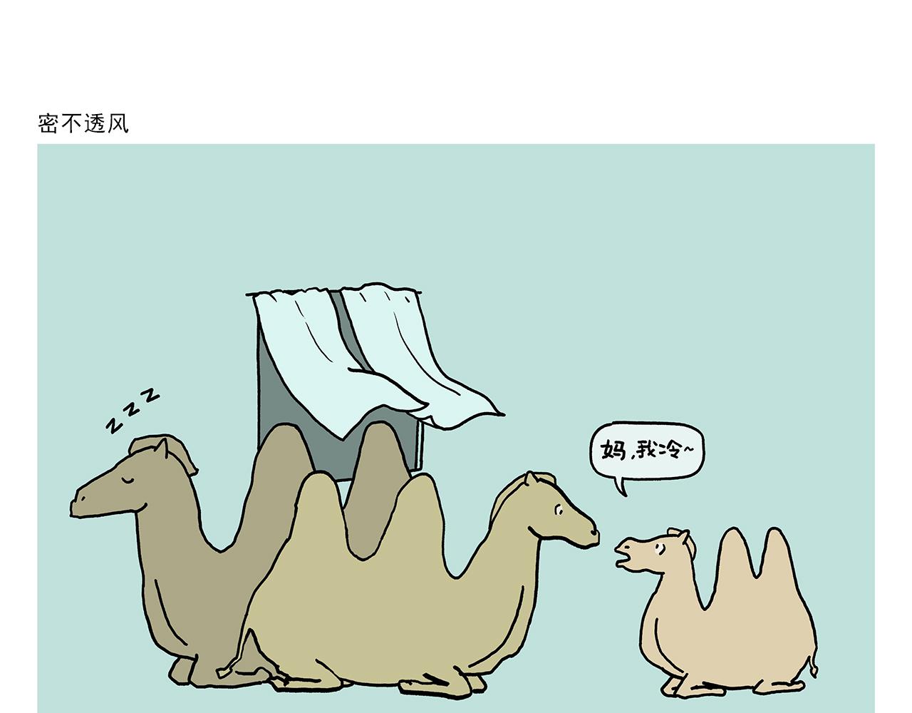 第394话 一路跟拍12