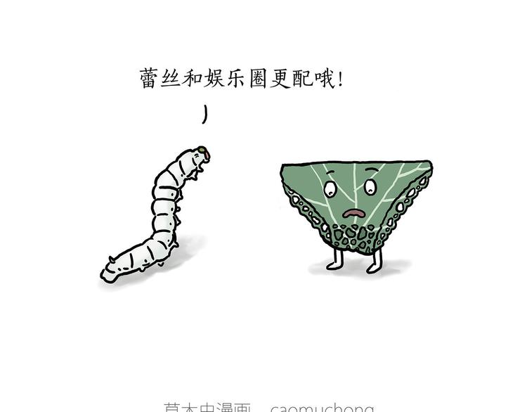 小鸡炖蘑菇19