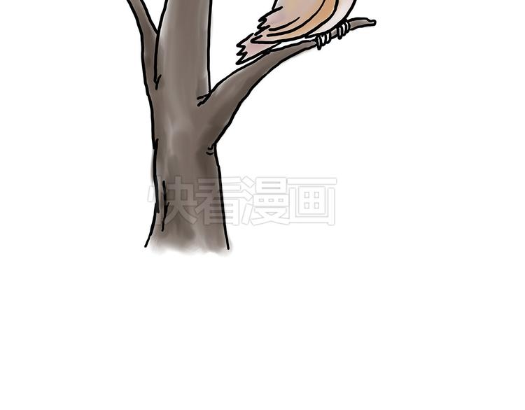 斗舞26