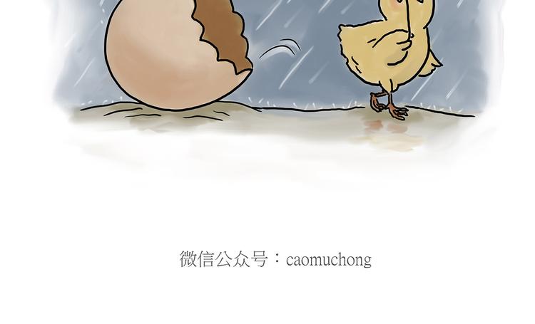 师父看快播29