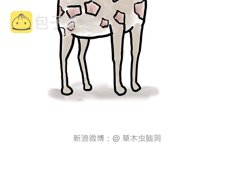 拖马师14